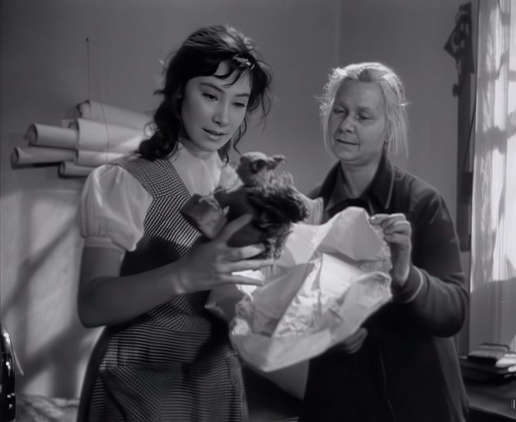 Produktbild: Wenn die Kraniche ziehen - Special Restored Edition (DEFA Filmjuwelen)