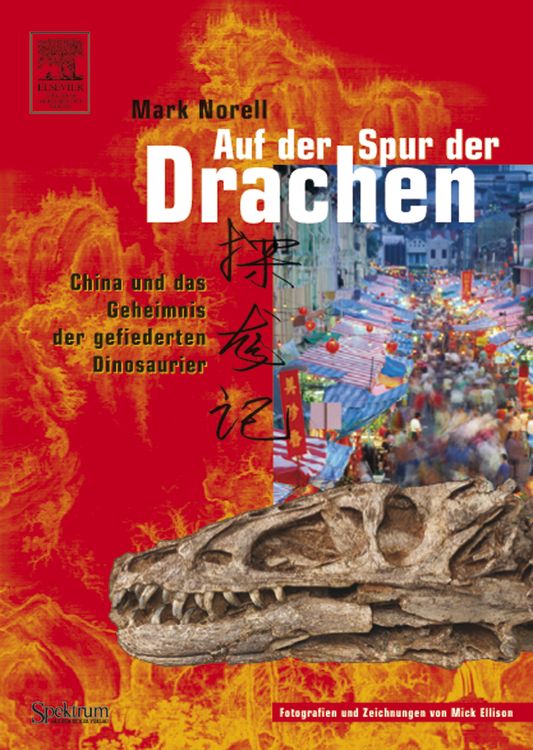Produktbild: Auf der Spur der Drachen