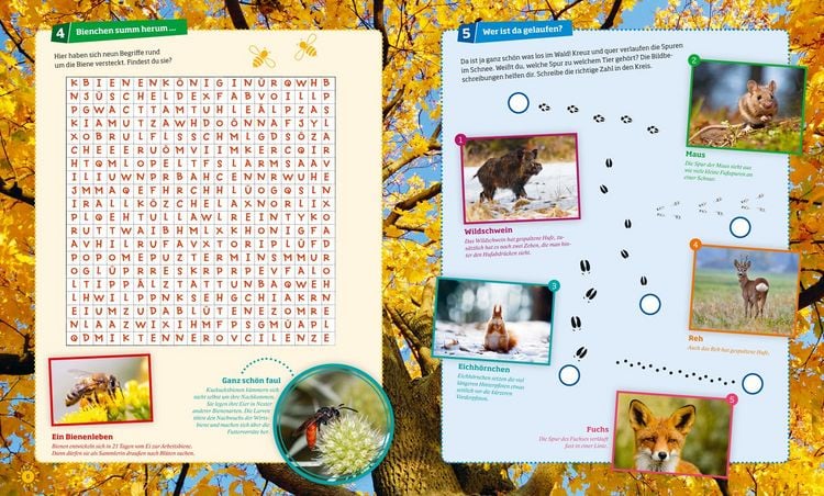 Produktbild: WAS IST WAS R&auml;tseln und Stickern: Natur