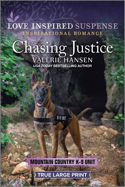 Produktbild: Chasing Justice