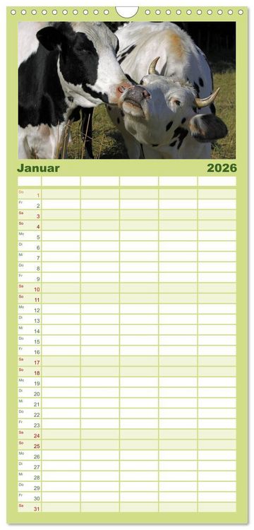 Produktbild: Familienplaner 2026 - Muuuhhh! mit 5 Spalten (Wandkalender, 21 x 45 cm) CALVENDO