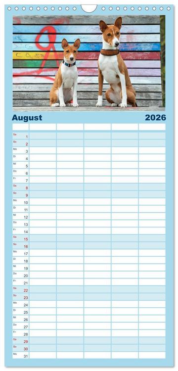 Produktbild: Familienplaner 2026 - Basenji-Sch&ouml;nheiten mit 5 Spalten (Wandkalender, 21 x 45 cm) CALVENDO