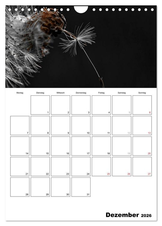 Produktbild: schwarz/wei&szlig; trifft farbe - DEIN TERMINKALENDER / Planer (Wandkalender 2026 DIN A4 hoch), CALVENDO Monatskalender