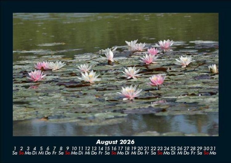 Produktbild: Rosen-Kalender 2026 Fotokalender DIN A5