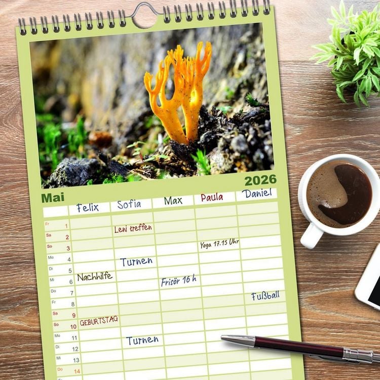 Produktbild: Familienplaner 2026 - Schwammerl Egerlinge Pilze mit 5 Spalten (Wandkalender, 21 x 45 cm) CALVENDO