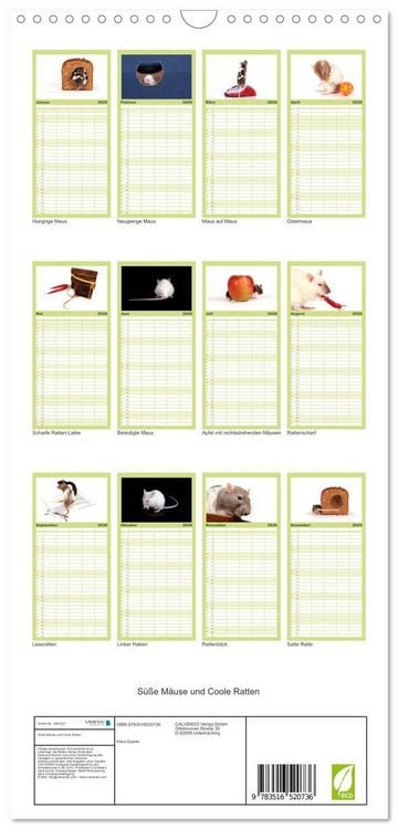 Produktbild: Familienplaner 2026 - S&uuml;&szlig;e M&auml;use und Coole Ratten mit 5 Spalten (Wandkalender, 21 x 45 cm) CALVENDO