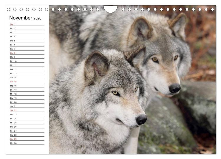 Produktbild: Alaska und Kanada (Wandkalender 2026 DIN A4 quer), CALVENDO Monatskalender