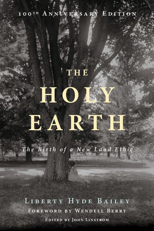 Produktbild: The Holy Earth