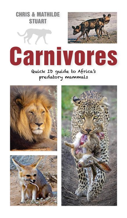 Produktbild: Carnivores