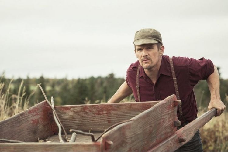 Produktbild: Maudie