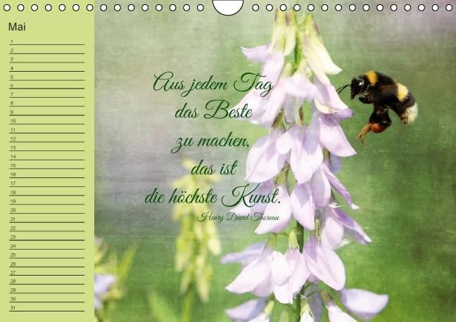 Produktbild: Spruchreifer Geburtstagskalender (Wandkalender immerw&auml;hrend DIN A4 quer)