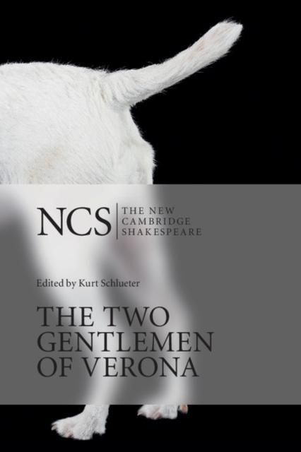 Produktbild: Two Gentlemen of Verona