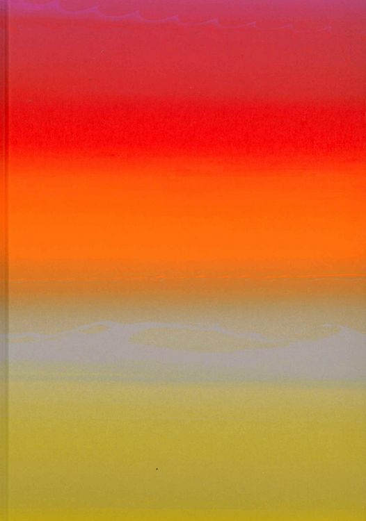 Produktbild: Raphael Hefti: Salutary Failures. Ediz. inglese e tedesca