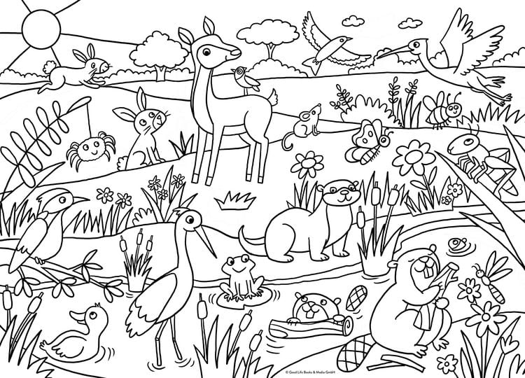 Produktbild: Ausmalposter Tiere