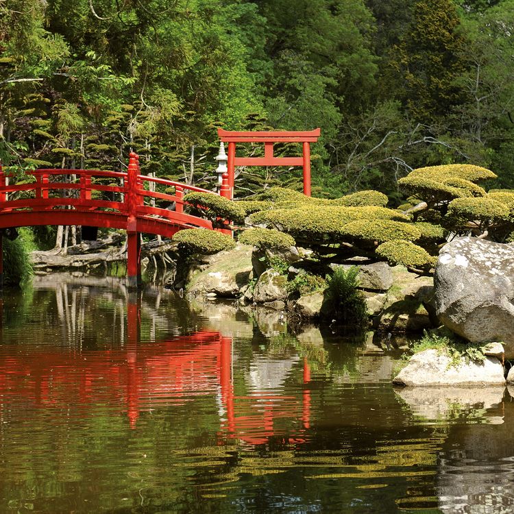 Produktbild: Japanese Garden 2027