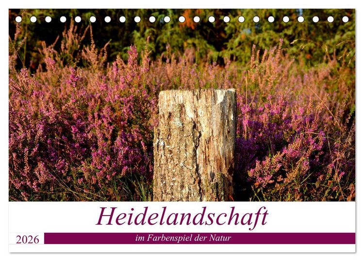 Produktbild: Heidelandschaft im Farbenspiel der Natur (Tischkalender 2026 DIN A5 quer), CALVENDO Monatskalender