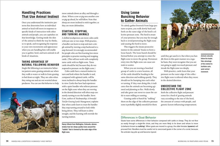 Produktbild: Temple Grandin's Guide to Working with Farm Animals