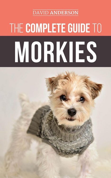 Produktbild: The Complete Guide to Morkies: Everything a new dog owner needs to know about the Maltese x Yorkie dog breed