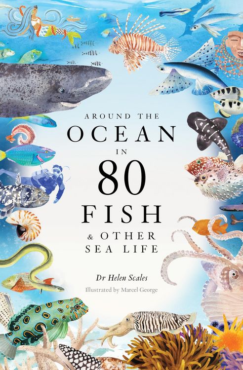 Produktbild: Around the Ocean in 80 Fish and other Sea Life