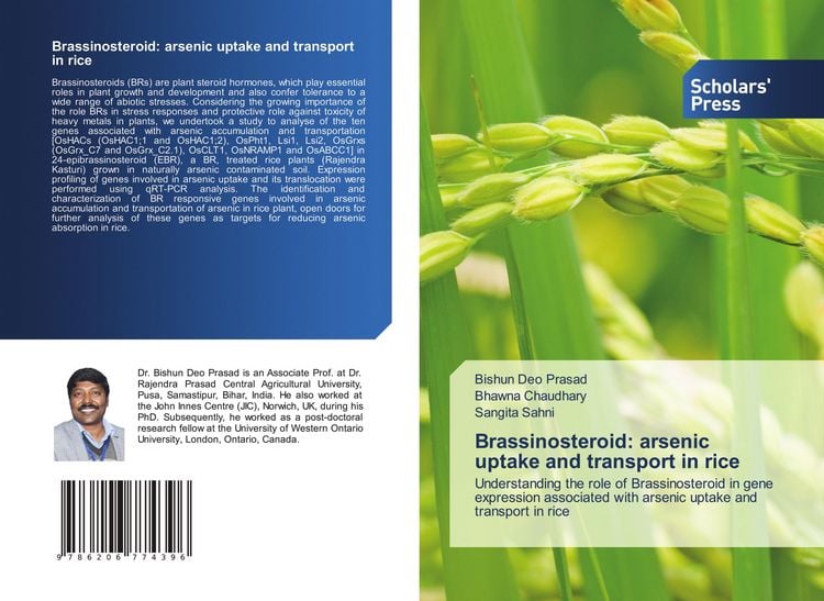 Produktbild: Brassinosteroid: arsenic uptake and transport in rice
