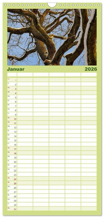 Produktbild: Familienplaner 2026 - B&auml;ume 2026 mit 5 Spalten (Wandkalender, 21 x 45 cm) CALVENDO