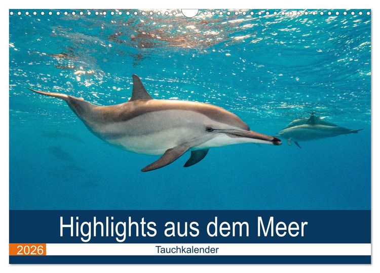 Produktbild: Highlights aus dem Meer - Tauchkalender (Wandkalender 2026 DIN A3 quer), CALVENDO Monatskalender
