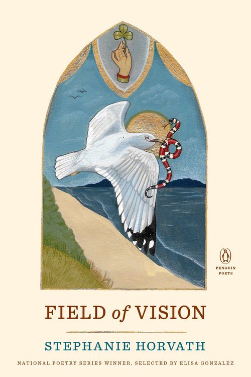 Produktbild: Field of Vision