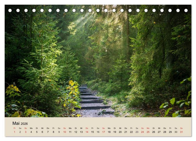 Produktbild: Der Wald. Durch zauberhafte Waldlandschaften (Tischkalender 2026 DIN A5 quer), CALVENDO Monatskalender