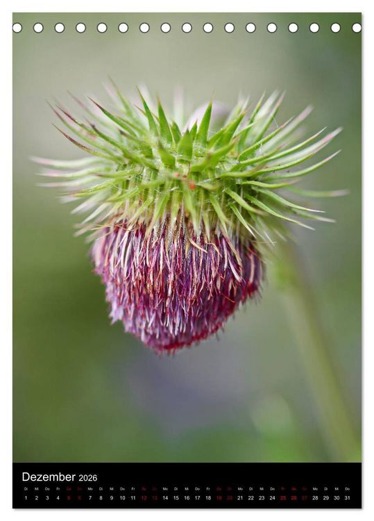 Produktbild: Ganz nah an der Natur (Tischkalender 2026 DIN A5 hoch), CALVENDO Monatskalender