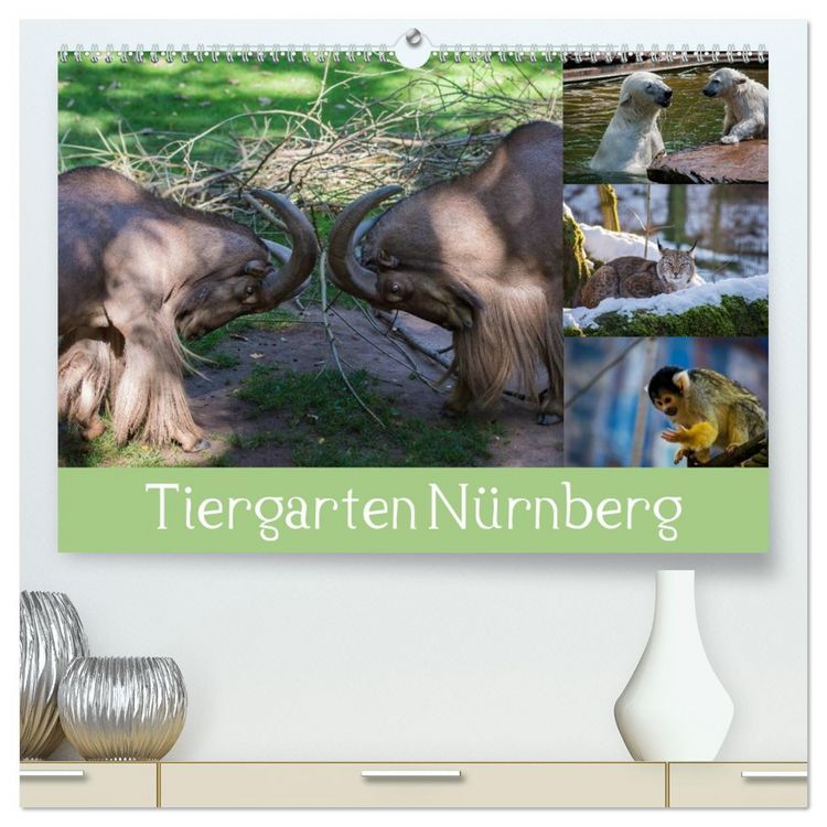 Produktbild: Tiergarten N&uuml;rnberg (hochwertiger Premium Wandkalender 2026 DIN A2 quer), Kunstdruck in Hochglanz