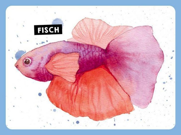 Produktbild: 55 x Watercolor &ndash; Motiv-Sammlung: Kartenset f&uuml;r 5-Minuten-Aquarelle