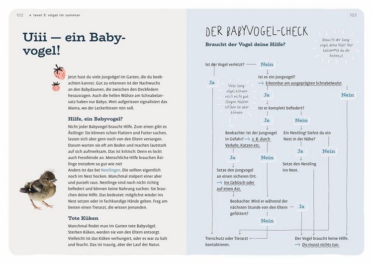 Produktbild: Dein Projekt. Dein Guide. Gartenv&ouml;gel einladen & verw&ouml;hnen