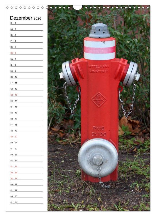 Produktbild: Nostalgie Hydranten (Wandkalender 2026 DIN A3 hoch), CALVENDO Monatskalender