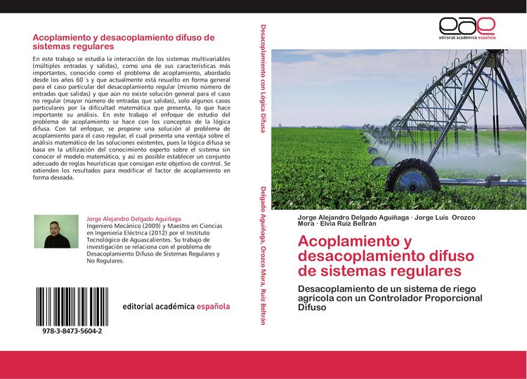 Produktbild: Acoplamiento y desacoplamiento difuso de sistemas regulares