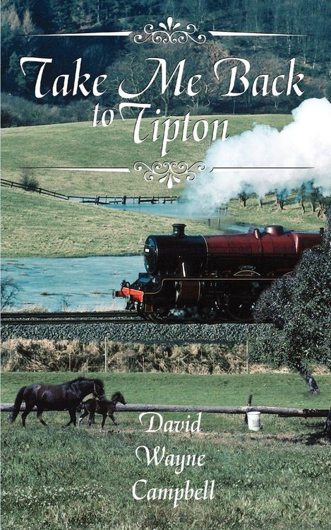 Produktbild: Take Me Back to Tipton