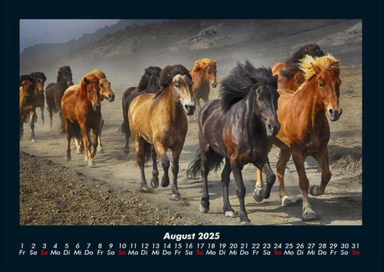 Produktbild: Pferdetraum 2025 Fotokalender DIN A4