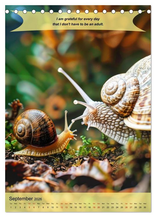 Produktbild: A year of greatfullness with funny animals (Desk Calendar 2026 DIN A5 portrait), CALVENDO 12 Month DeskCalendar