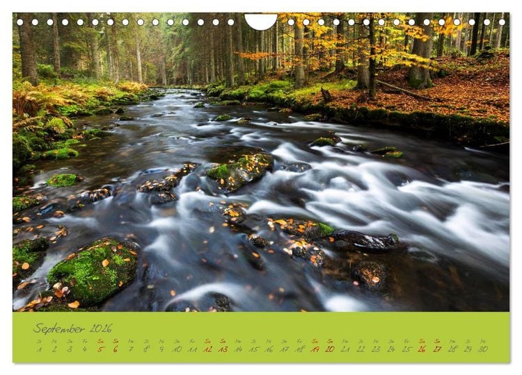 Produktbild: Der Bayerische Wald (Wandkalender 2026 DIN A4 quer), CALVENDO Monatskalender
