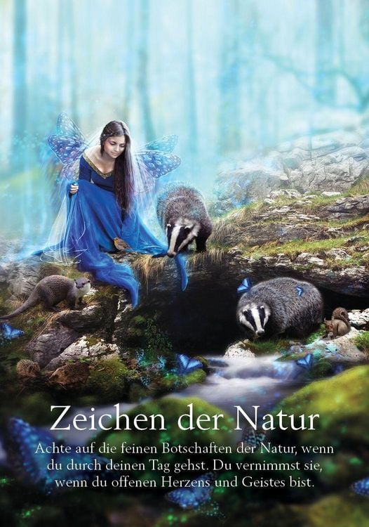 Produktbild: Orakel der Feen