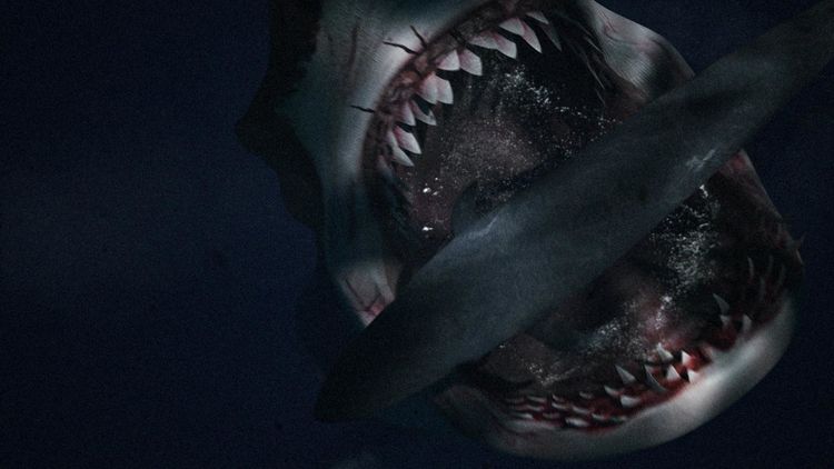 Produktbild: Megalodon 1+2 Uncut Special Edition [2 DVDs]