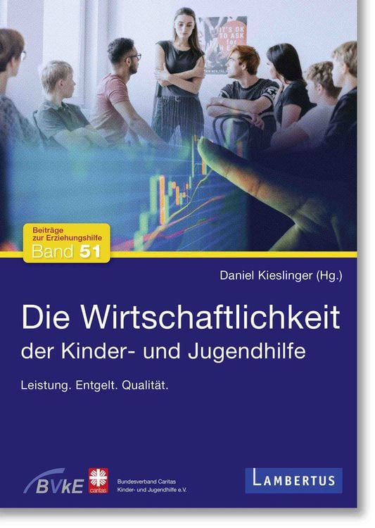 Produktbild: Die Wirtschaftlichkeit der Kinder- und Jugendhilfe