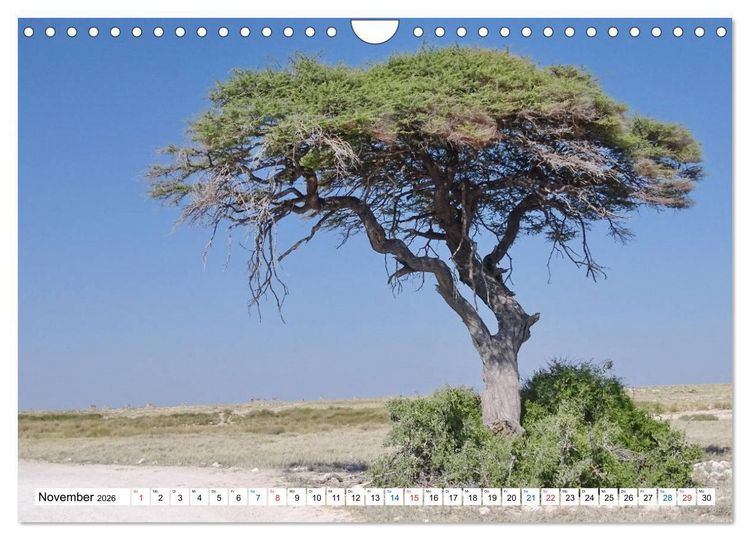 Produktbild: Namibia, Faszination W&uuml;ste und Tierwelt (Wandkalender 2026 DIN A4 quer), CALVENDO Monatskalender