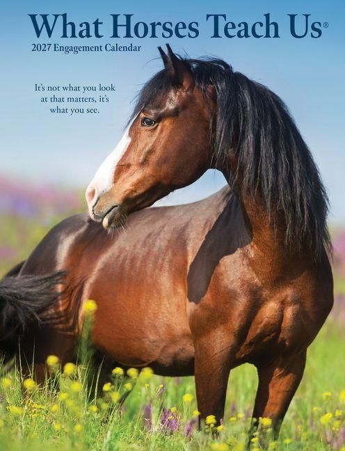 Produktbild: What Horses Teach Us 2027 6.5 X 8.5 Engagement Calendar
