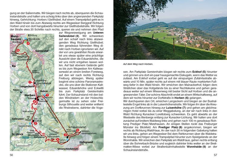 Produktbild: ROTHER Wanderf&uuml;hrer Rund um Freiburg