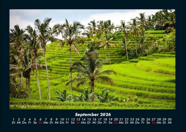 Produktbild: Palmentraum 2026 Fotokalender DIN A4