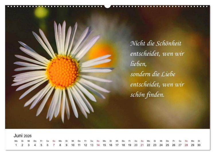 Produktbild: Lebensweisheiten 2026 (Wandkalender 2026 DIN A2 quer), CALVENDO Monatskalender