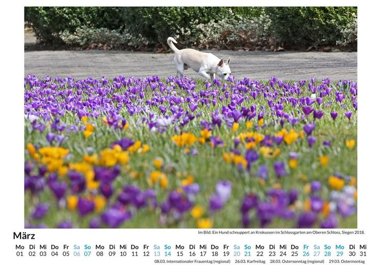 Produktbild: Tiere in der Natur