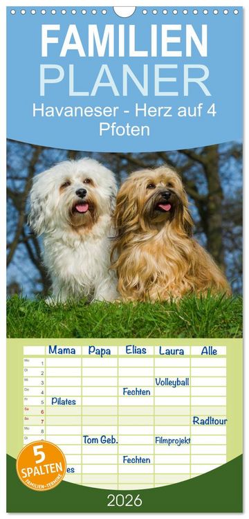 Produktbild: Familienplaner 2026 - Havaneser - Herz auf 4 Pfoten mit 5 Spalten (Wandkalender, 21 x 45 cm) CALVENDO