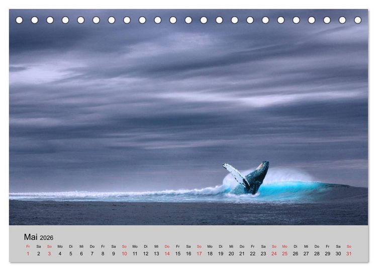 Produktbild: Am Meer. Sehnsucht Wasser (Tischkalender 2026 DIN A5 quer), CALVENDO Monatskalender