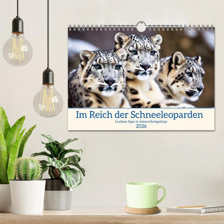 Produktbild: Im Reich der Schneeleoparden (Wandkalender 2026 DIN A4 quer), CALVENDO Monatskalender